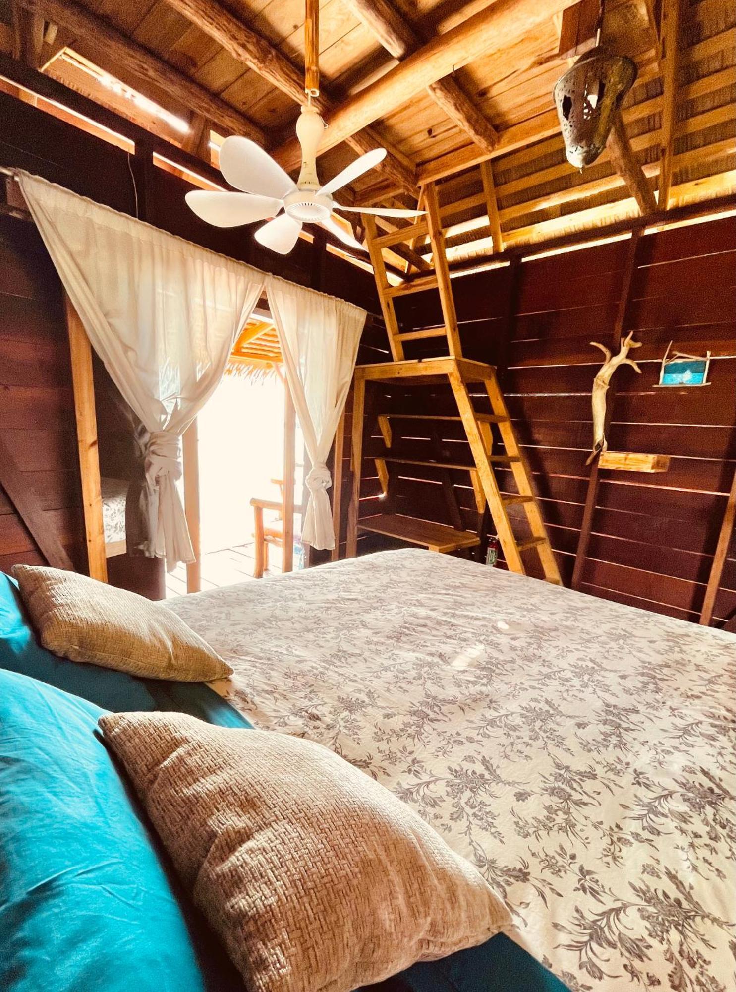 Urraca Monkey Island Eco Resort (Adults Only) Punta Laurel Quarto foto