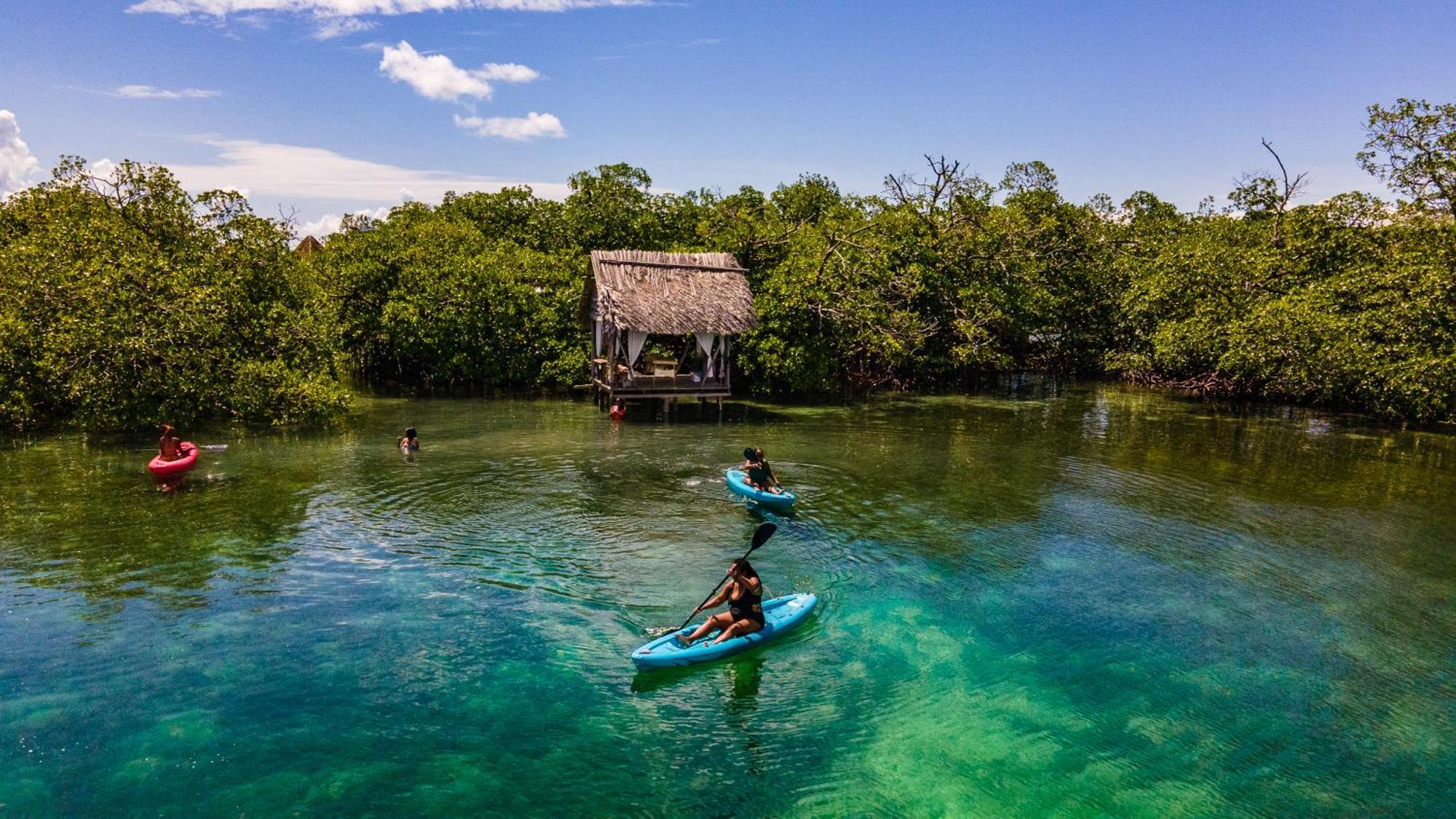 Urraca Monkey Island Eco Resort (Adults Only) Punta Laurel Exterior foto